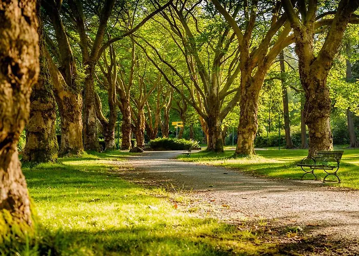 アクロポール ホテル 3*